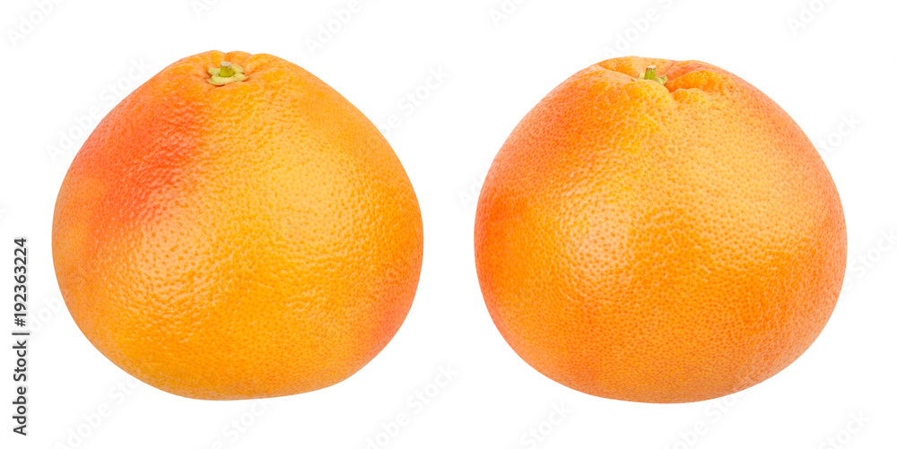 grapefruit grapefruit