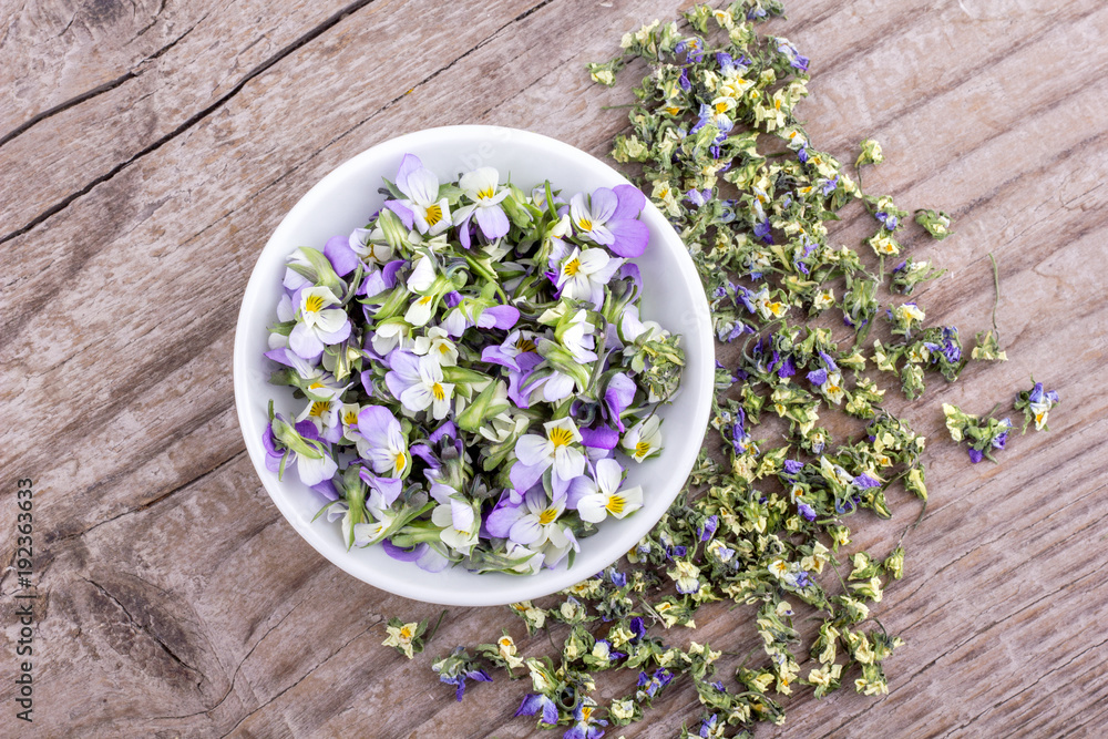 Φωτογραφία violet heartsease / Top view of a white bowl with fresh and dried flowers from