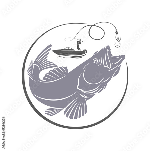 zander fishing