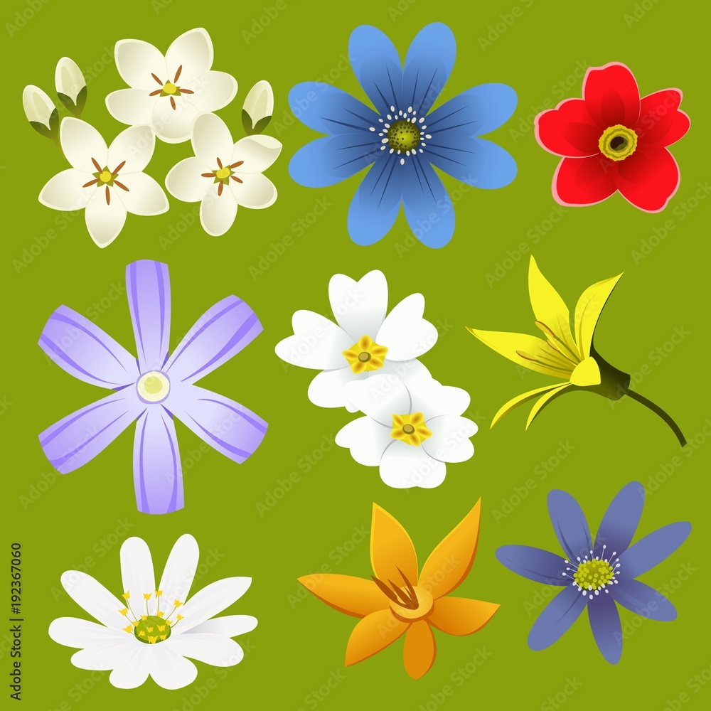 Obraz premium Set of different wildflowers of different colors isolated on green background