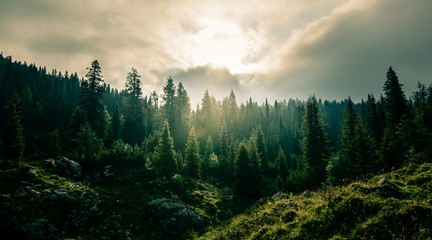 Keuken achterwand Mistige ochtendstond Bergpad met uitzicht op vallei  © Rok