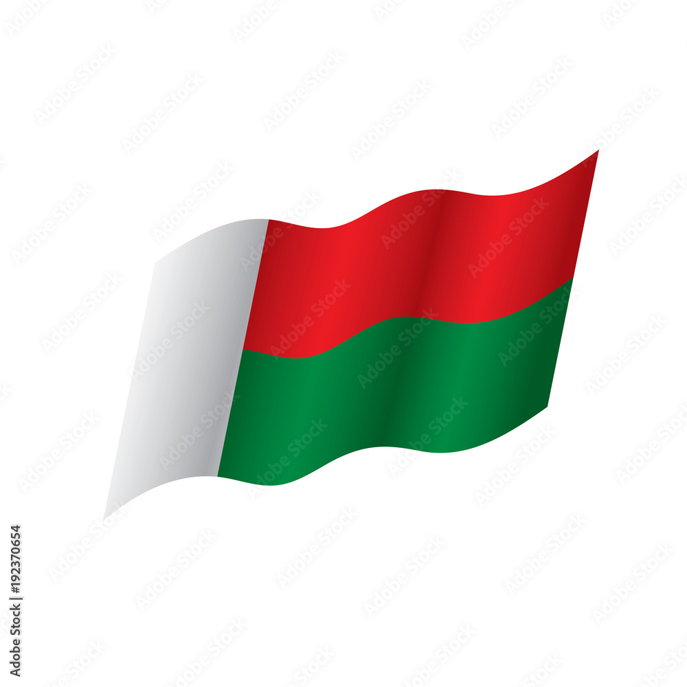 Obraz premium Madagascar flag, vector illustration