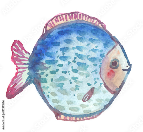 Big cartoon brightly colored exotic discus fish painted in watercolor on clean white background photo