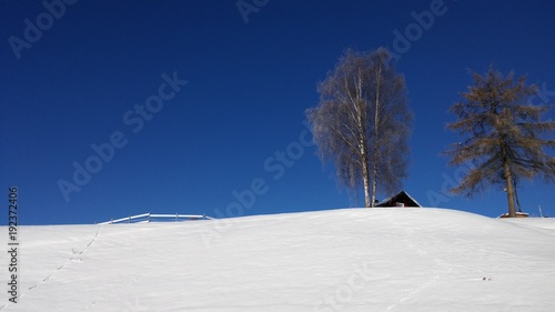 Winterwiese