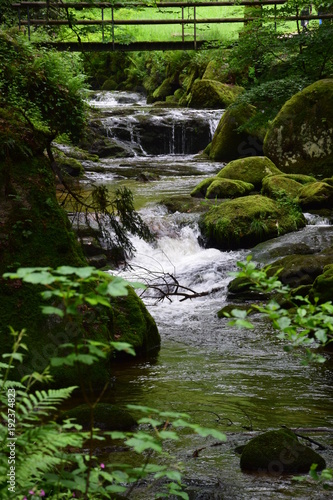 Geroldsauer Wasserfälle in Baden-Baden