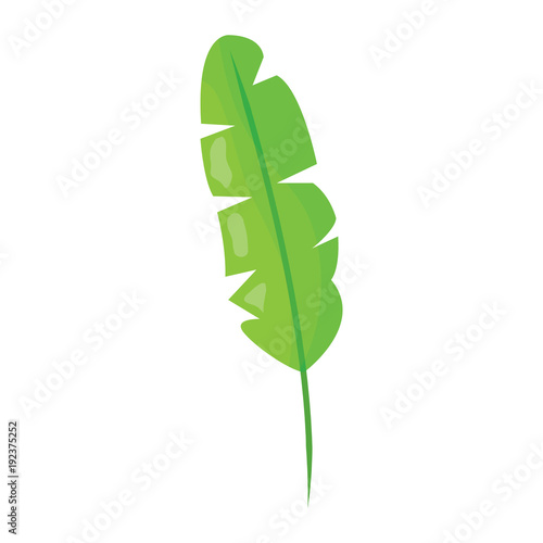tropical leaf green spring season eco nature vector illustration