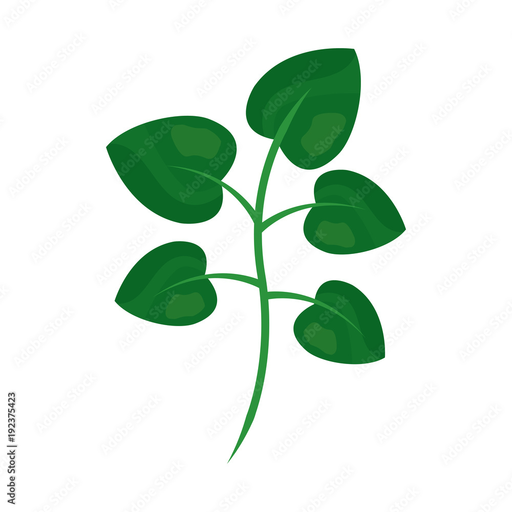 tree branch with green leaves plant natural vector illustration