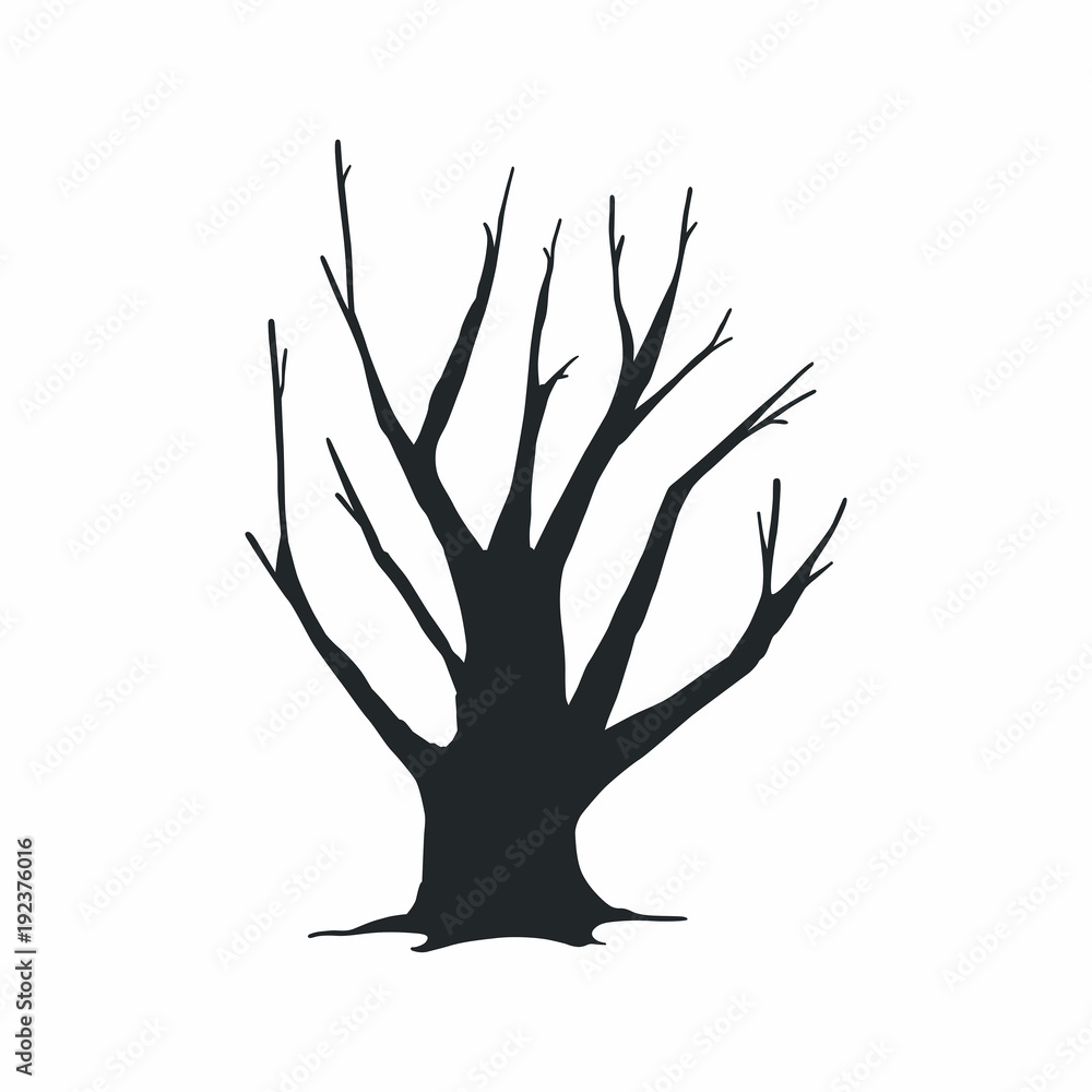Fototapeta premium Tree silhouette on white background