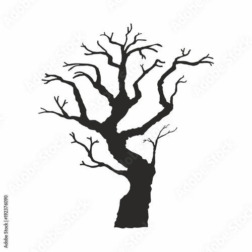 Tree silhouette on white background