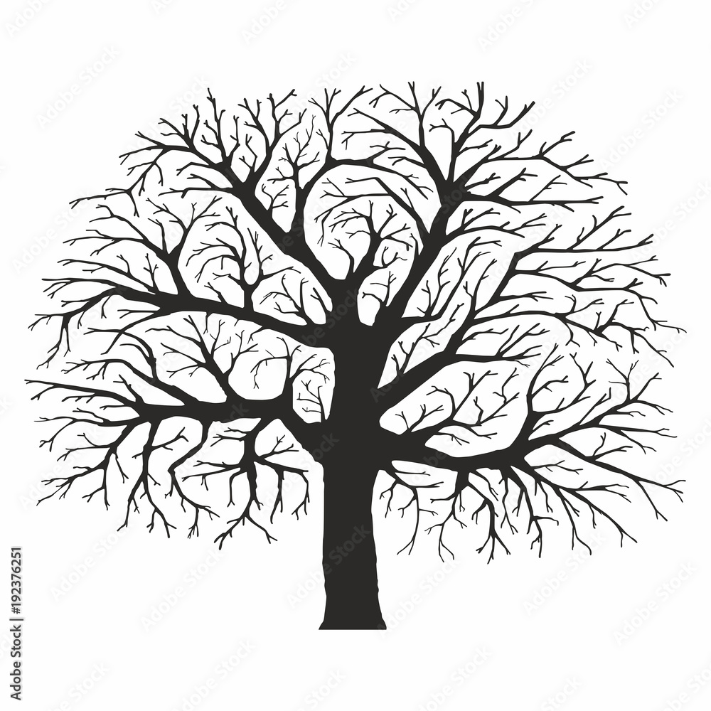 Obraz premium Tree silhouette on white background