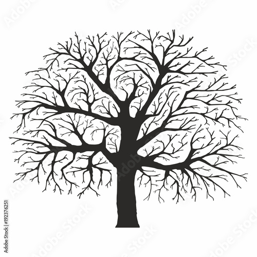 Tree silhouette on white background