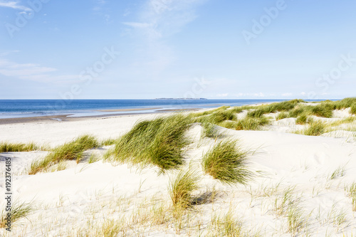 Strand mit D  nen auf Amrum  Deutschland  beach with dunes on Amrum  Germany