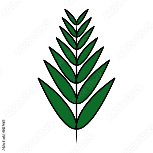 tropical leaf green spring season eco nature vector illustration