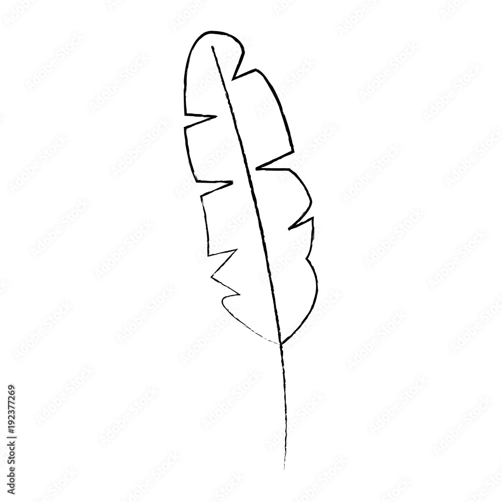 tropical leaf green spring season eco nature vector illustration sketch image tropical leaf green spring season eco nature vector illustration sketch image