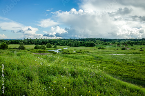 Obraz na płótnie Forest on the horizon, view from the hill w salonie