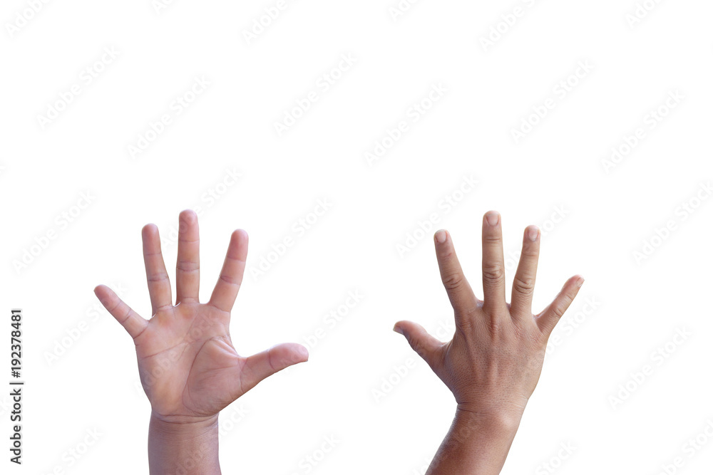 Back and front hands isolated on white background. Back and front hands isolated on white background.