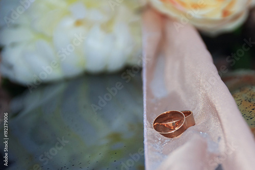 wedding rings on a winter background
