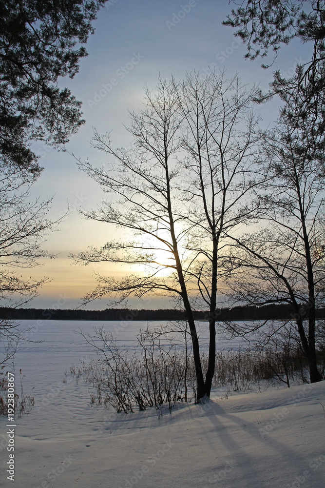 Winter landscape with trees, beautiful frozen lake and bushes at sunset.