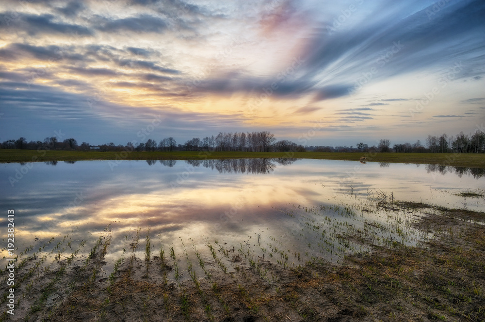 Obraz premium reflection. picturesque reflection of trees in the river. a quiet morning