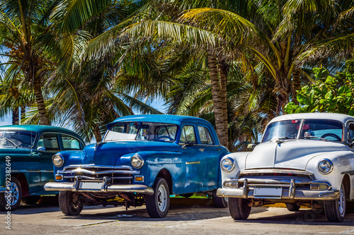 Amerikanischer Oldtimer parken in Linie unter Palmen in Varadero Kuba - HDR - Serie Cuba Reportage  © mabofoto@icloud.com