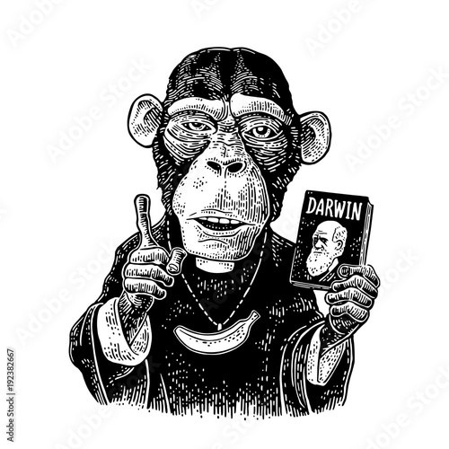Fotografia, Obraz Monkey dressed in a cassock and banana chain.