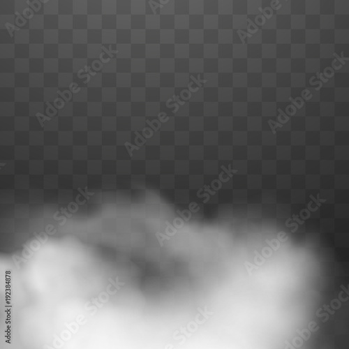 Fog or smoke isolated on transparent background. White cloud. Vector illustration