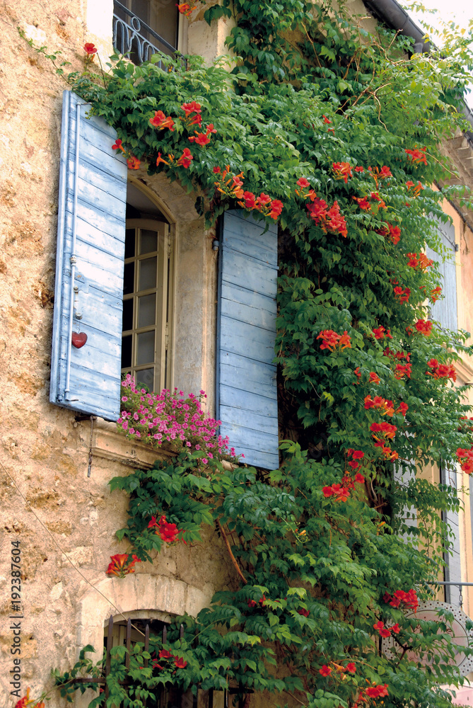 Lourmarin (Vaucluse) Volets bleus et fleurs rouge, Luberon, Provence, France