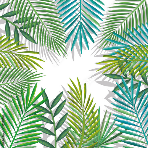 tropical and exotic palms leafs vector illustration design