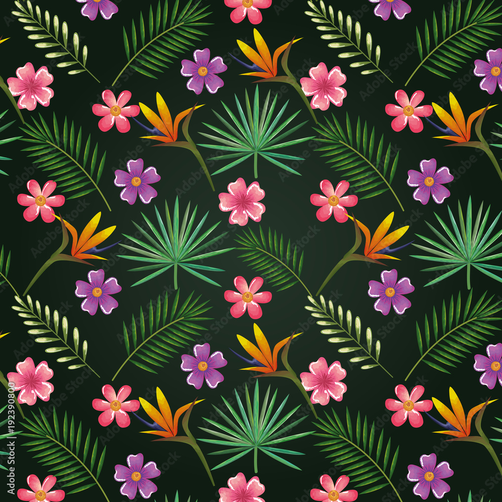 tropical and exotics flowers and leafs vector illustration design tropical and exotics flowers and leafs vector illustration design