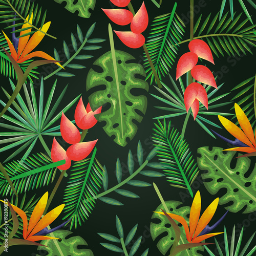 tropical and exotics flowers and leafs vector illustration design © Gstudio