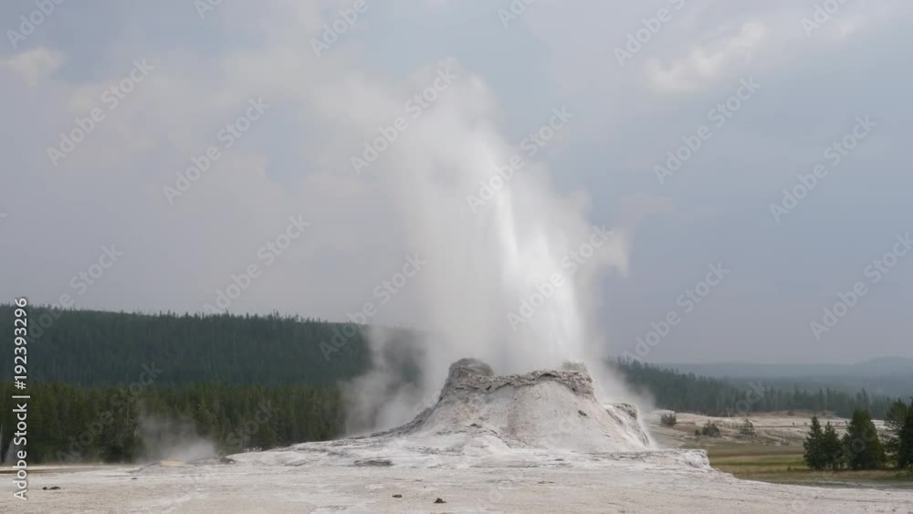 zoom in on castle geyser erupting in yellowstone national park, usa zoom in on castle geyser erupting in yellowstone national park, usa