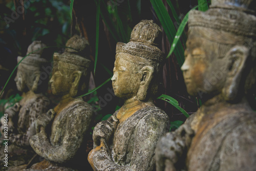 Row of Buddha Statues in Jungle