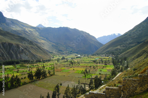 Agriculture Fields - Peru