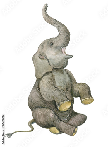 Canvas Print elephant illustration watercolor