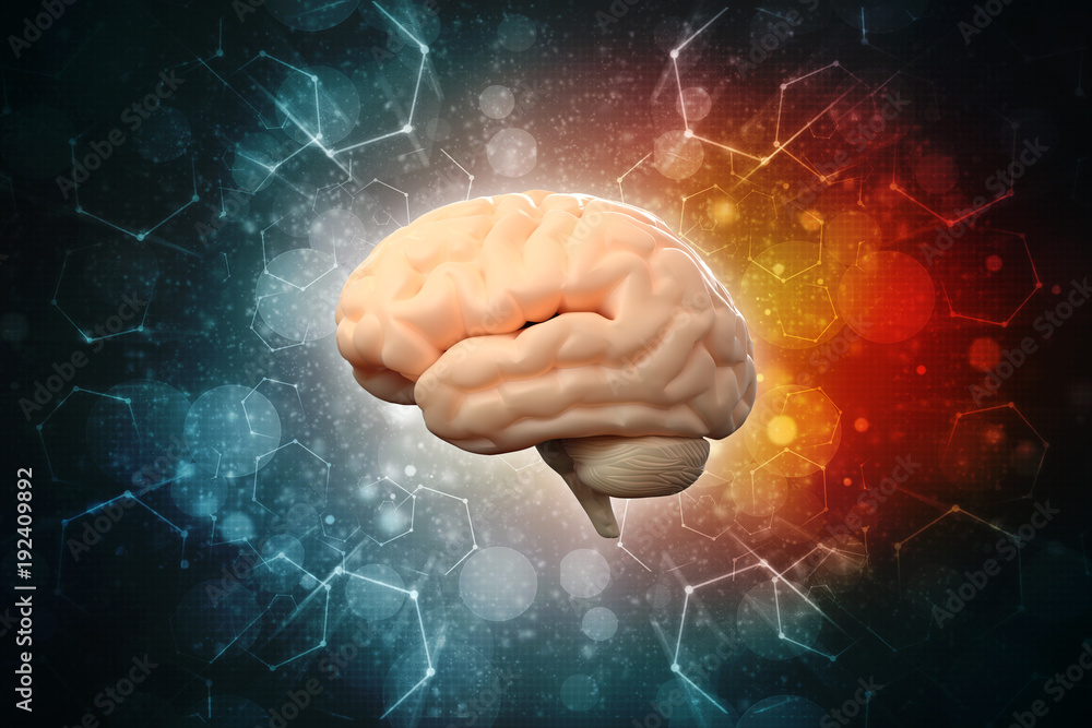 Human brain 3d illustration
Human brain 3d illustration