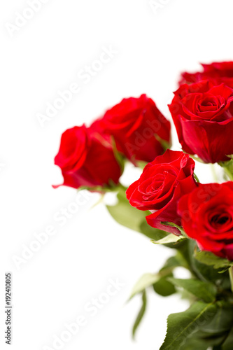 Fototapeta Naklejka Na Ścianę i Meble -  Beautiful Red Roses on a White Background