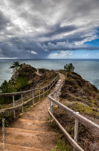 Trail leads down to the ocean with big clouds and a little blue sky