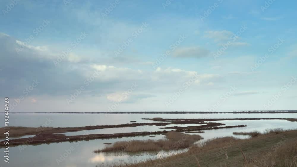 timelapse shot of cloudy sky over weeds in wild lagoon in winter timelapse shot of cloudy sky over weeds in wild lagoon in winter