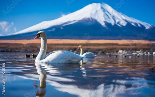 Lake Mount Fuji Scenery   Japan  January 18  2018