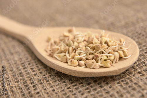Wooden spoon. Buckwheat grains. Neutral background. Healthy food