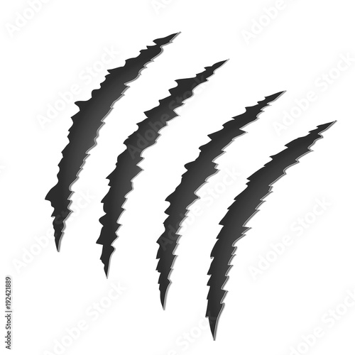 Claw scratch mark. Torn scrape trace of beast. Stock vector illustration