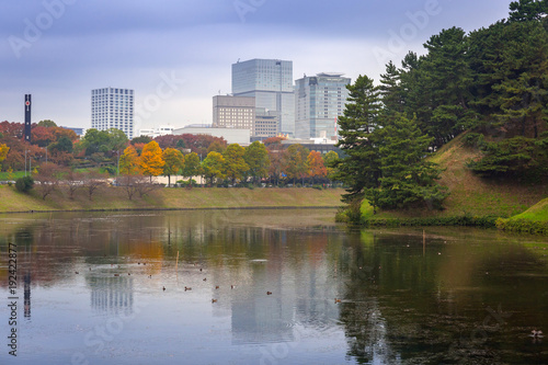 Cityscape of Tokyo with autumnal park, Japan © Patryk Kosmider