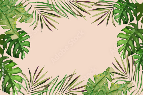 Exotic tropical palm tree. Frame border background. Summer vector illustration. Template for card