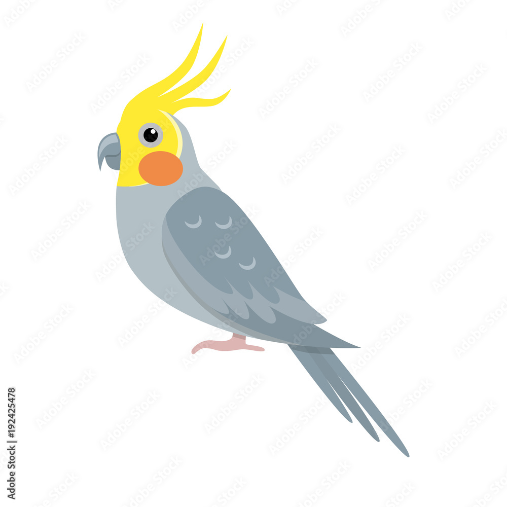 Fototapeta premium Corella parrot icon in flat style