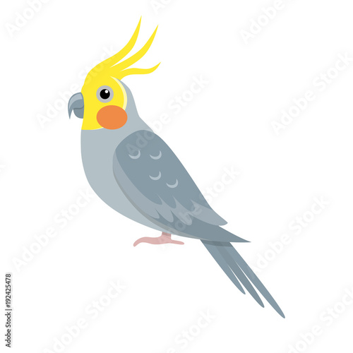 Corella parrot icon in flat style