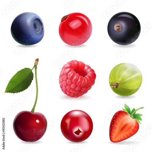Sweet berries, vector illustration realistic set