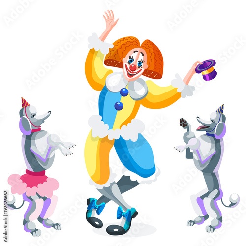 Clown and circus dogs. Poodles with caps on their heads look at the clown who holds the hat in his hand. Vector illustration on white background