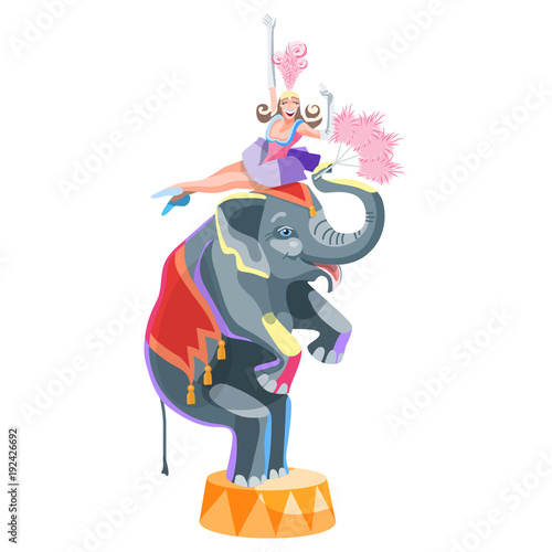 Circus girl and an elephant with a fan on a pedestal. Vector illustration on white background.