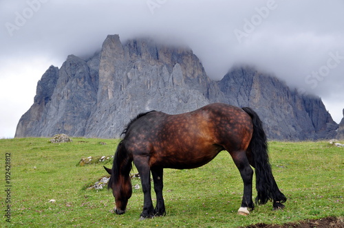 Unterwegs am Langkofel