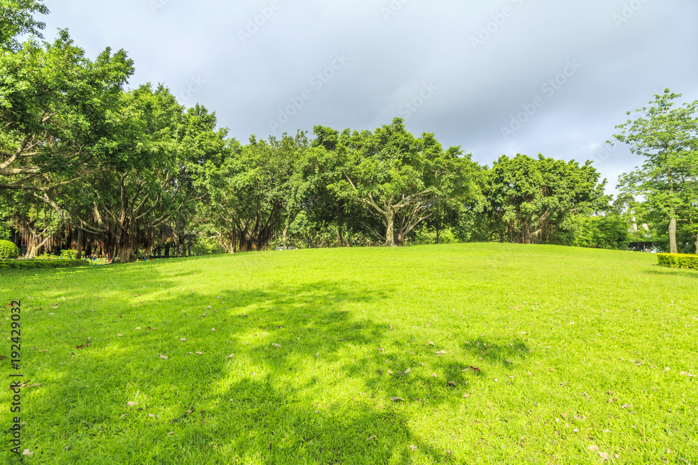 Park woods Park woods